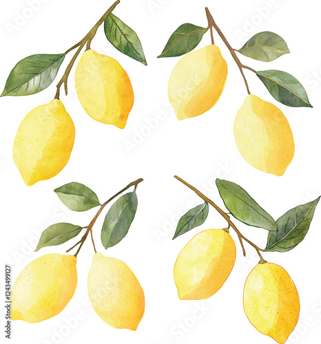 Beautiful image with hand drawn watercolor yellow lemons and flowers. Stock clip art vector illustrations.