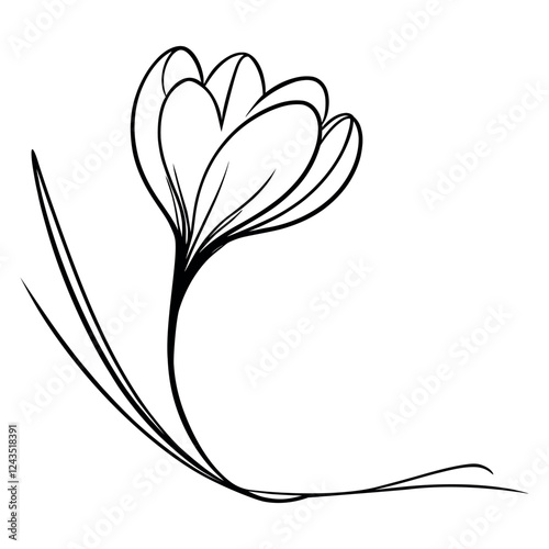 One continuous line drawing of a crocus. Printed decorative crocus flower for invitation. Vector illustration