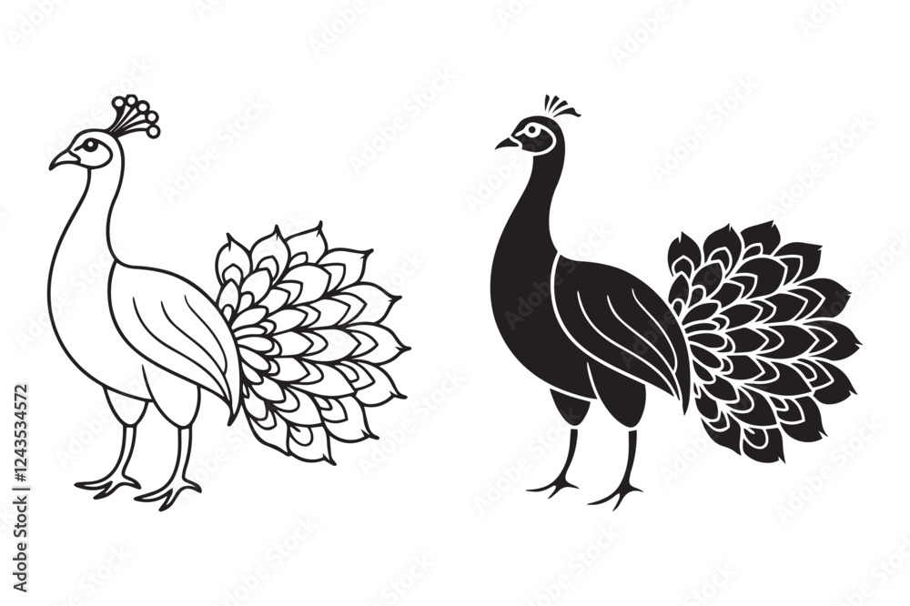 Fototapeta premium peacock vector