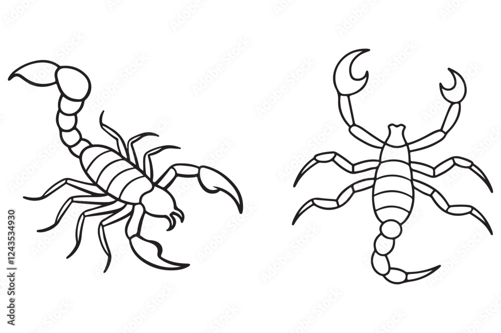 Obraz premium Scorpion vector