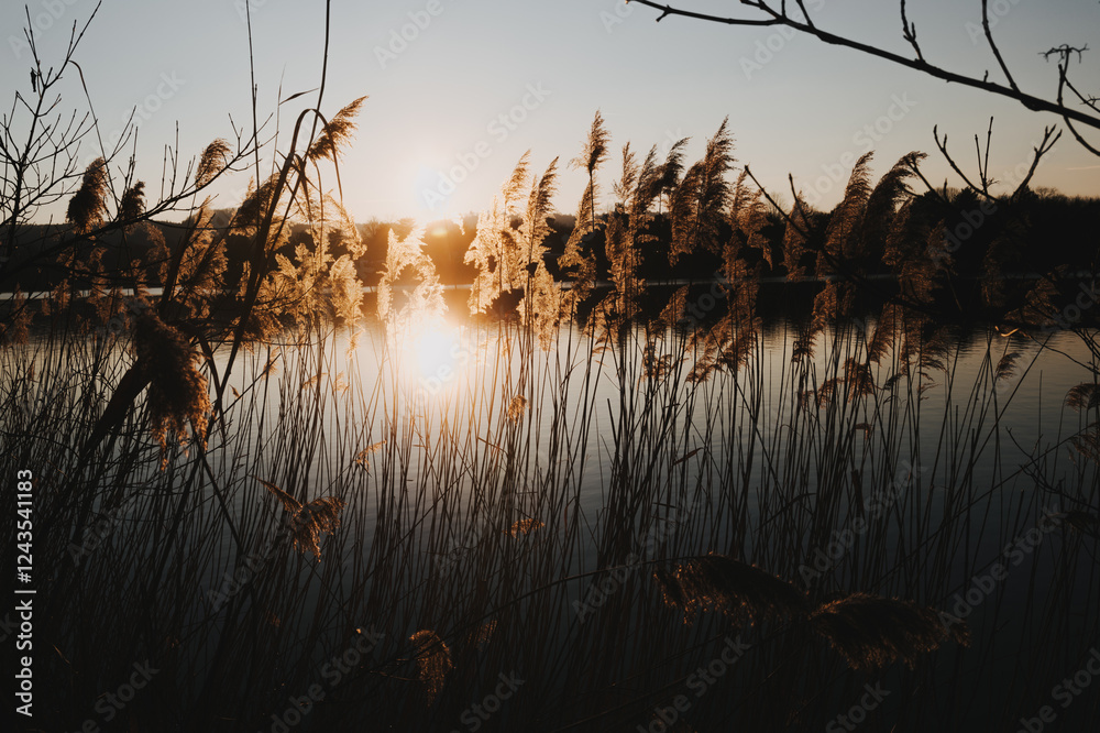 Fototapeta premium Stimmungsvolle Naturmomente am Breitenauer See bei Sonnenuntergang