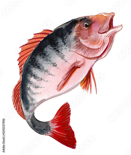 Leaping fish. Hand drawn watercolour illustration photo