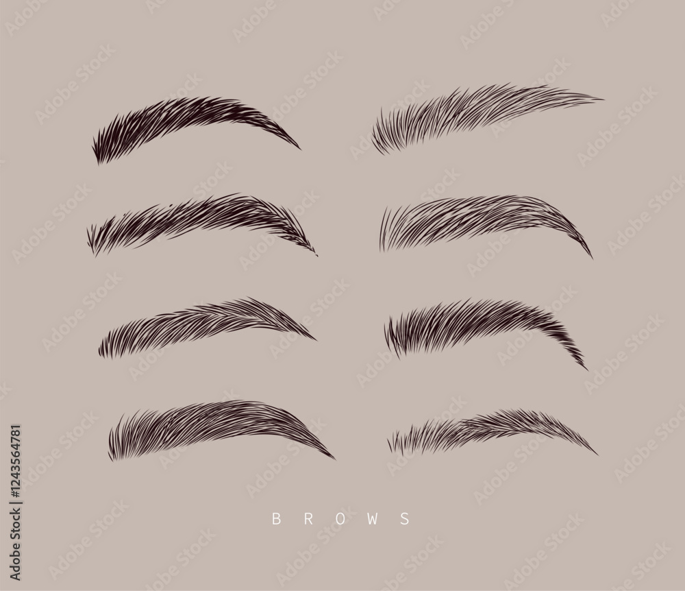 Eyebrows collection set in different shape form drawing with black on beige background