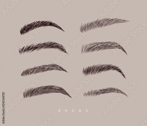Obraz na płótnie Eyebrows collection set in different shape form drawing with black on beige background w salonie