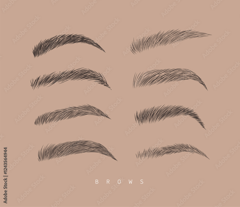 Eyebrows collection set in different shape form drawing with black on brown background