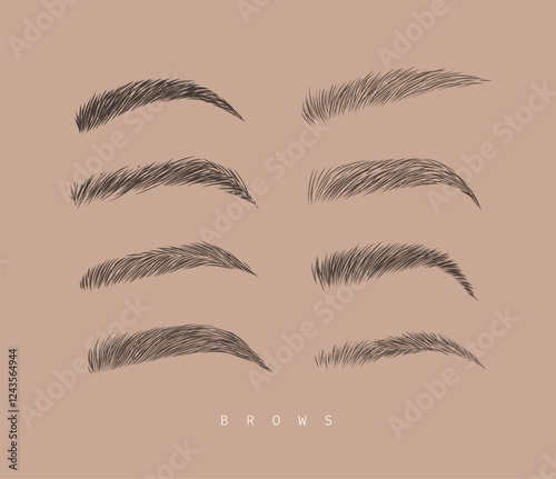 Obraz na płótnie Eyebrows collection set in different shape form drawing with black on brown background w salonie