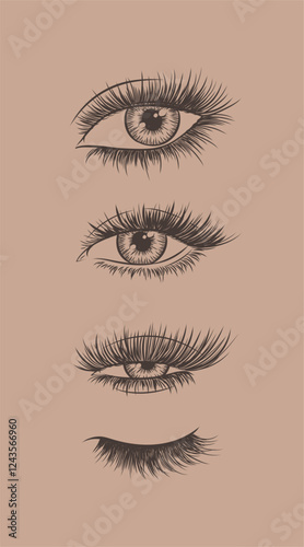 Obraz na płótnie Eyes and eyelash collection drawing in graphic art style on brown background w salonie