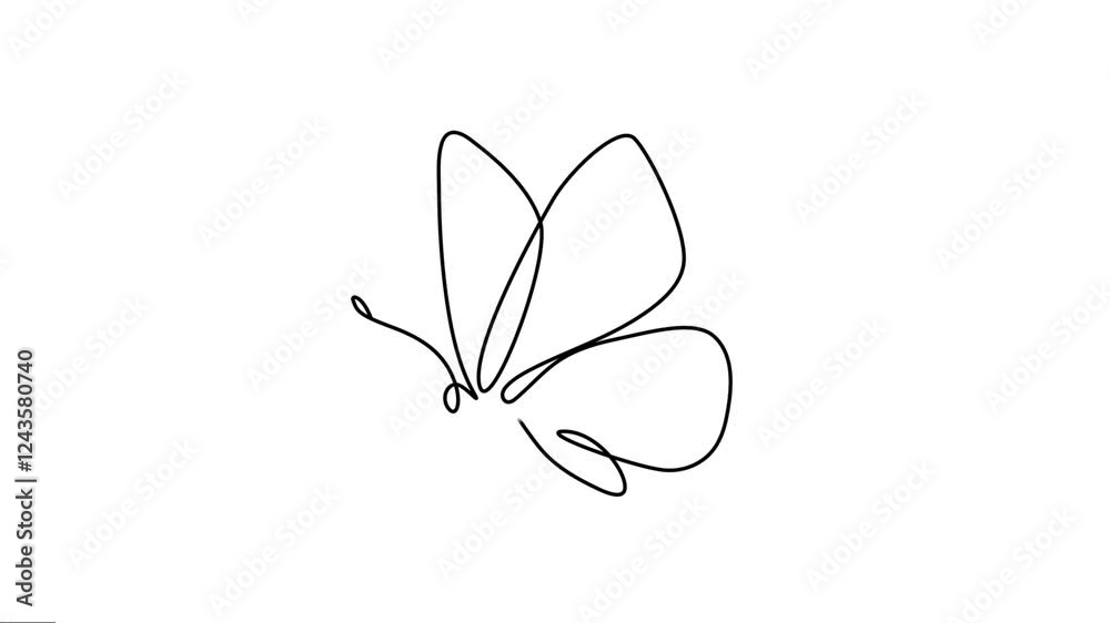 Animated One continuous single-line drawing of a butterfly. Flying half butterfly minimal linear animation full length 4k video clip. The beauty of nature motion graphics. 
