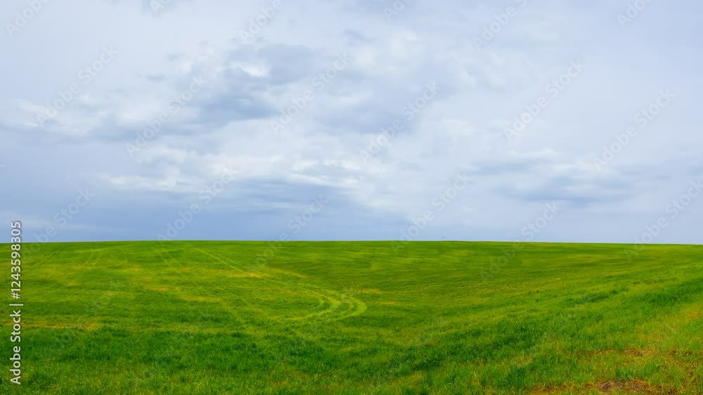 green rural field at the calm spring day, seasonal agricultural landscape time lapse scene green rural field at the calm spring day, seasonal agricultural landscape time lapse scene