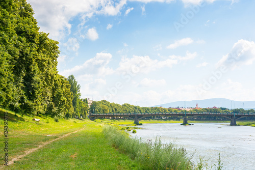 embankment with linden trees in blossom. summer vacation. scenery by the river uzh on a sunny day. masaryk bridge in the distance photo