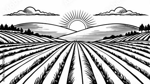 Vast Vector Landscape with Sunrise over Rolling Fields and Hills