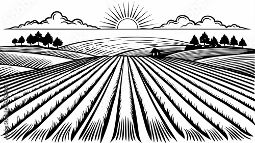 Sunrise Over Countryside Fields with Scenic Horizon in Retro Style Illustration