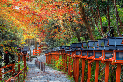 Kifune Shrine in Kyoto, Japan with beautiful autumn scenery
 photo