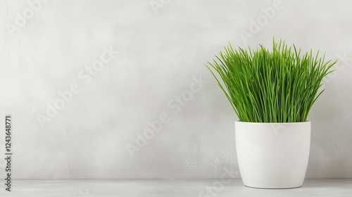 Indoor pet grass patch for apartment living, sustainable and convenient solution photo