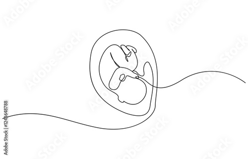 Baby embryo in womb, fetus one art line continuous drawing, Continuous line of fetus in womb.one line drawing of baby fetus in mother's stomach in gestational age.
