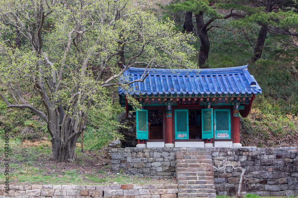 Spring Scenic Views of Korean Traditional Temples Spring Scenic Views of Korean Traditional Temples
