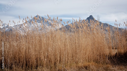 
A view of a mountain landscape