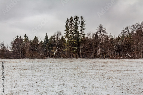 Wallpaper Mural Landscapes - Forest - Europe, Romania, Suceava region   Torontodigital.ca
