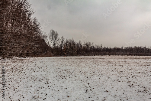 Wallpaper Mural Landscapes - Forest - Europe, Romania, Suceava region   Torontodigital.ca