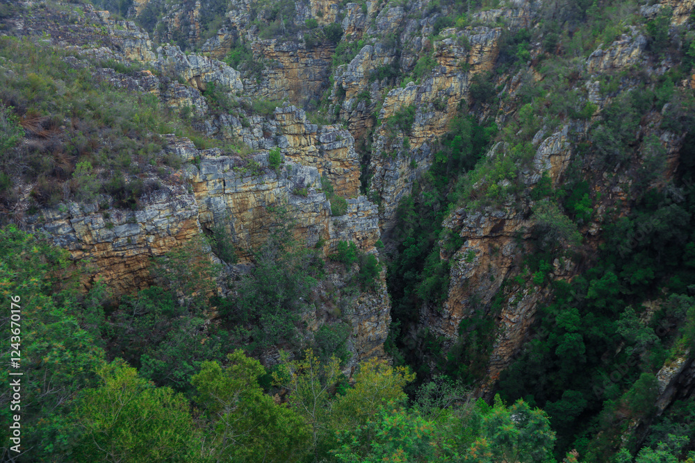 Captivating view of a lush canyon in South Africa showcasing vibrant greenery and rocky cliffs