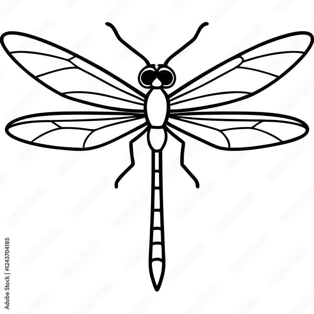 Stylized Dragonfly Drawing with Detailed Wings and Body Stylized Dragonfly Drawing with Detailed Wings and Body