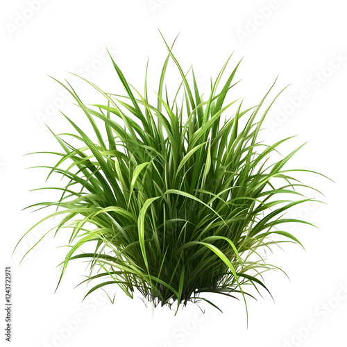 Lush Emerald Grass on Transparent White Background