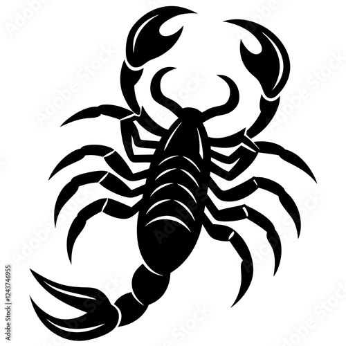scorpion vector illustration