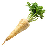 Fresh organic parsnip root vegetable with green tops isolated eat raw food on transparent background