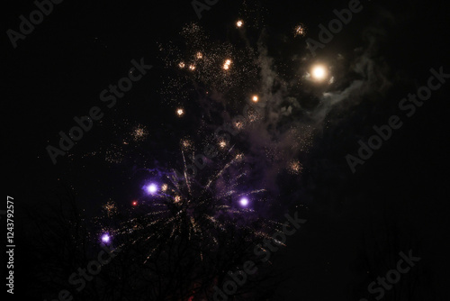 Small amatuer new years firework shooting fireworks.