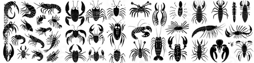 Collection of various crustacean illustrations showcasing detailed designs and characteristics