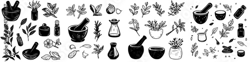 Collection of hand-drawn medicinal herbs and natural remedies in black and white artistic style