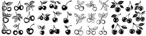 Collection of hand-drawn cherry illustrations showcasing various cherry designs and leaf patterns in black and white
