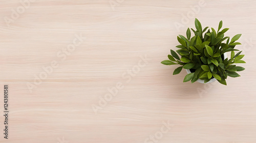 Desk plant, wood surface, overhead view, minimalist workspace