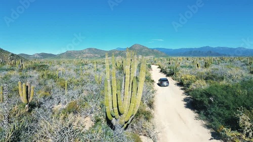 Off-Road Vehicle Driving Through Sandy Terrain with Cacti and Mountain Views