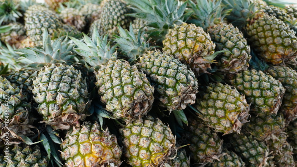 green pineapple fruit in pile green pineapple fruit in pile