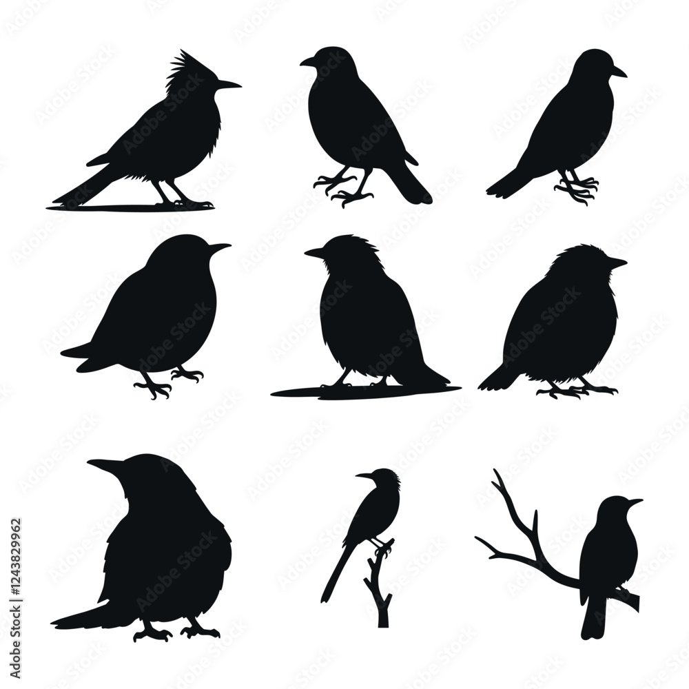 bird silhouette collection on white background vector, black bird designs for minimalist decor, abstract avian vector shapes bird silhouette collection on white background vector, black bird designs for minimalist decor, abstract avian vector shapes