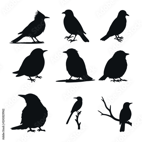Wallpaper Mural bird silhouette collection on white background vector, black bird designs for minimalist decor, abstract avian vector shapes Torontodigital.ca