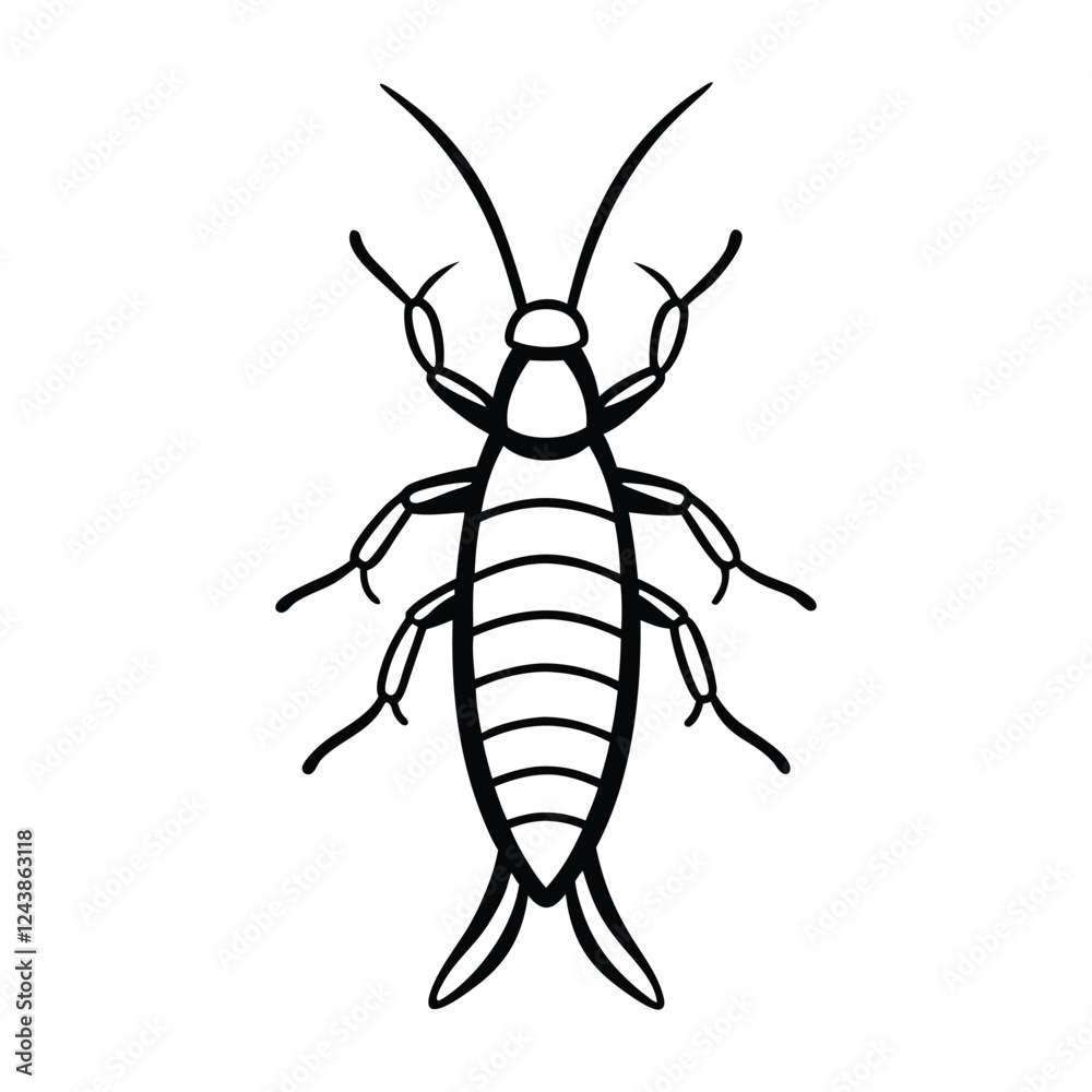 earwigs