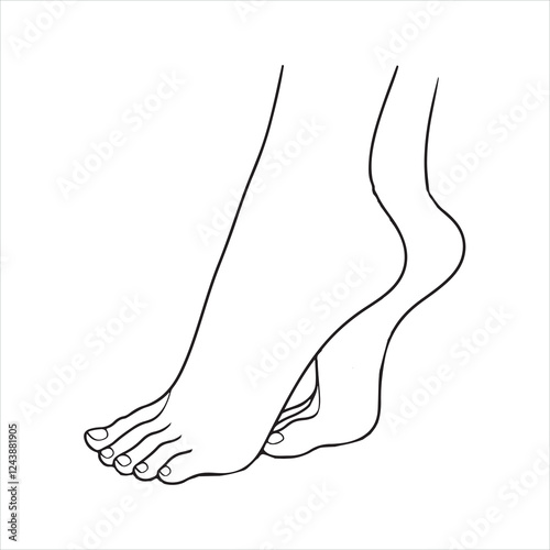 thin line female foot silhouette on white background
