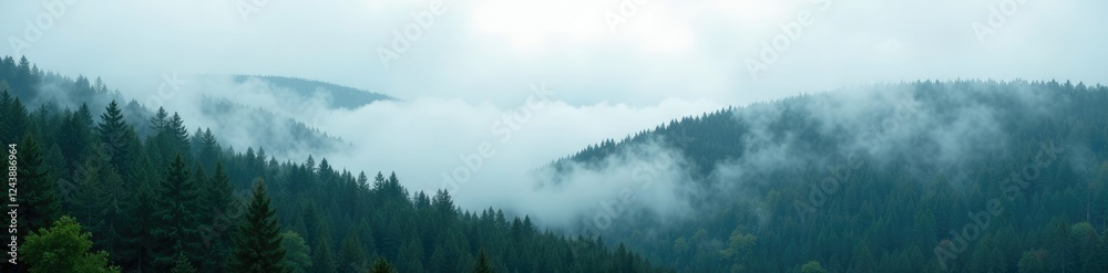A serene landscape with a dense layer of mist and fog enveloping the spruce forest, forest, soft focus, foggy A serene landscape with a dense layer of mist and fog enveloping the spruce forest, forest, soft focus, foggy