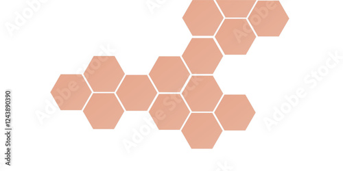 Geometric technology orange hexagon background. Abstract vector illustration Science technology and medical concept hexagon on transparent background.