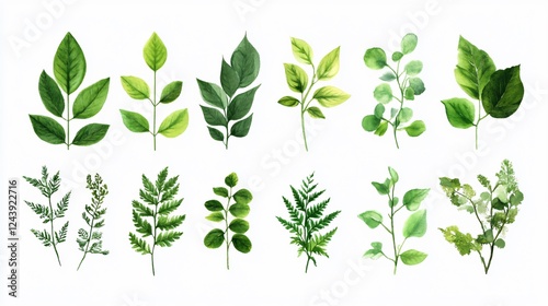 Green Leaves Icon Isolated on White Background for Design and Decoration