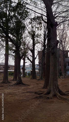 日本寺院風景