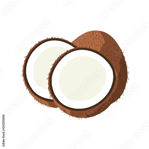 A vector illustration of an open coconut 