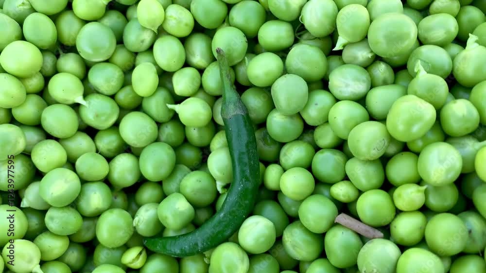A plate filled with a generous amount of fresh peas, showcasing their vibrant green color and natural appeal, ready to be used in a delicious dish. A plate filled with a generous amount of fresh peas, showcasing their vibrant green color and natural appeal, ready to be used in a delicious dish.