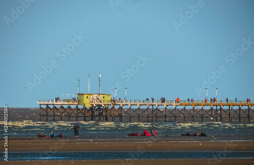 aves edificios luna kayak pesca atardecer insecto paisaje palomas deporte mar playa rio agua fauna naturaleza photo