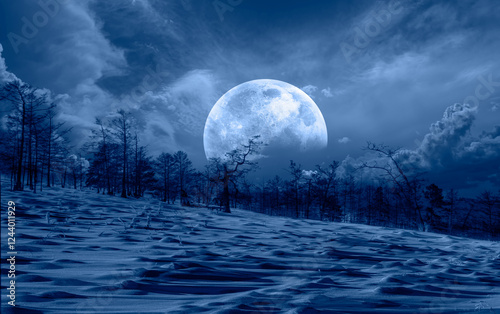 Fototapeta Naklejka Na Ścianę i Meble -  Beautiful winter landscape with dead trees and shadows on the snow and Super full moon - Baikal lake, Siberia 