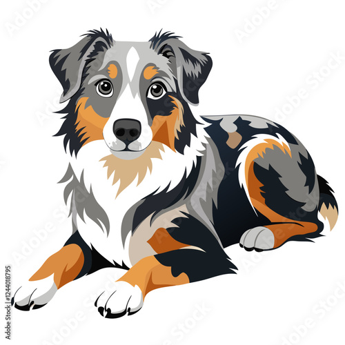 australian shepherd dog isolated on white, Color vector illustration. Pet animal  