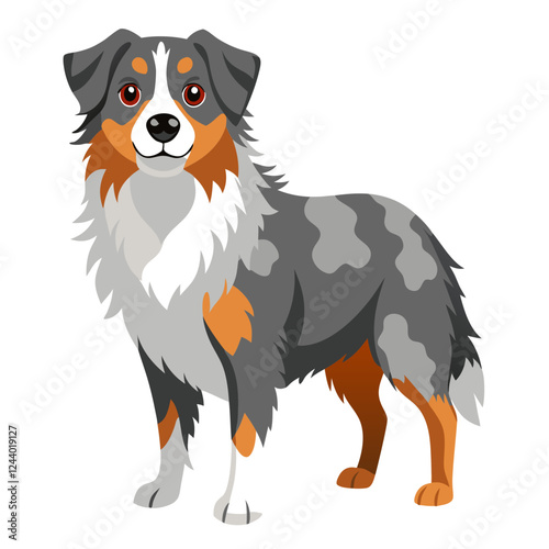 australian shepherd dog isolated on white, Color vector illustration. Pet animal  