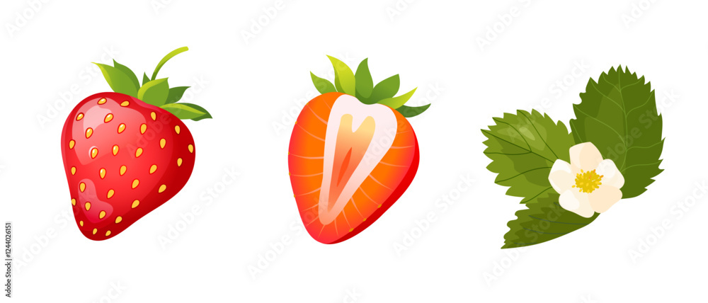 Vector collection with half, whole, blooming strawberry isolated on white background.

